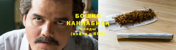 ПСИЛОЦИБИНОВЫЕ ГРИБЫ Абаза