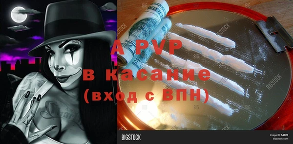 ПСИЛОЦИБИНОВЫЕ ГРИБЫ Абаза