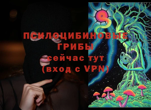 a pvp Алексеевка