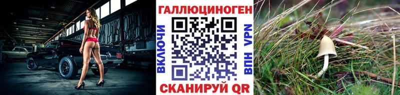 Галлюциногенные грибы Psilocybine cubensis  Грязи 